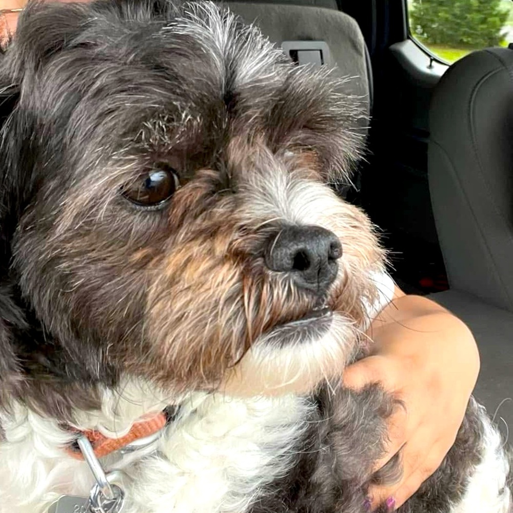 For angelascloset4u ONLY